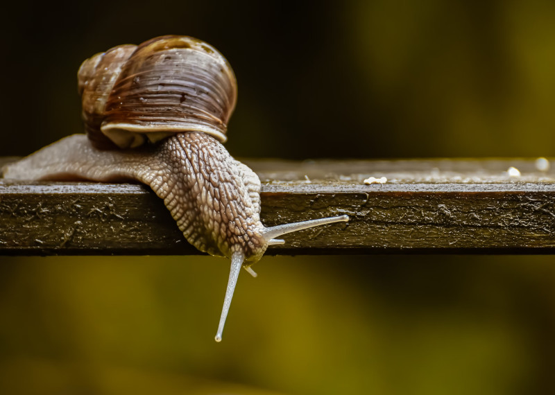 5 Unbelievable Insurance Claims That Actually Got Paid